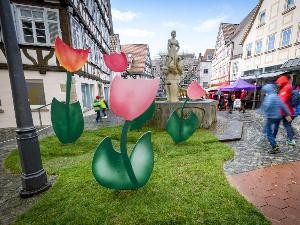 Tulpenfrühling 2023_Stadtmarketing Backnang_(c)_Alex Becher (10)