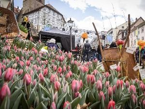 Tulpenfrühling 2023_Stadtmarketing Backnang_(c)_Alex Becher (5)