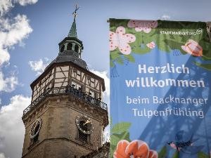 Tulpenfrühling 2023_Stadtmarketing Backnang_(c)_Alex Becher (6)